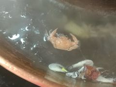 -原柳滩高台阶涮羊肉