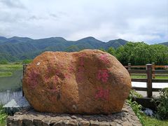 -大九湖