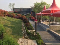 -汤山温泉房车营地 茶温泉