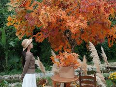 -HERRE·FARM 赫尔露营农场·团建聚会包场