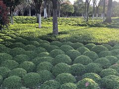 -杭州城北体育公园