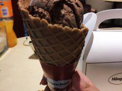-哈根达斯(陆家浜路店)