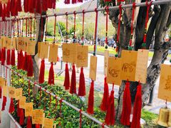 -三亚南山文化旅游区