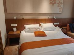 -九华山聚龙大酒店