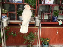 -四海楼(如皋定慧禅寺店)