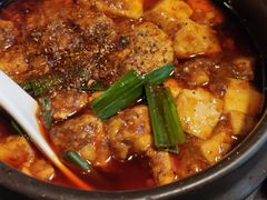 -陈麻婆豆腐总店