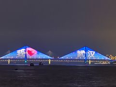 -武汉两江游览·夜游长江(汉口粤汉码头)