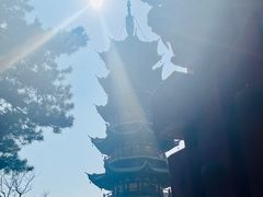 -龙华素斋(龙华路店)