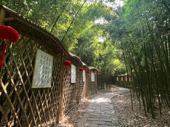 -同里国家湿地公园