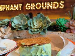 菠萝椰子-大象园 ELEPHANT GROUNDS(广州太古汇店)