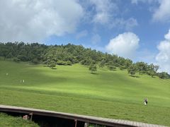 -关山草原