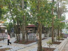 -陶缘一号·四季缘·老字号顺德菜·户外婚礼家宴(西滘店)