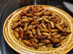 -昆虫窝子·特色云南菜(拓东路总店)
