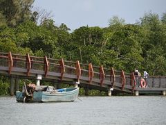 -东寨港红树林旅游区