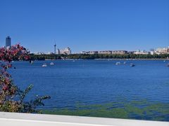 -长春市南湖公园