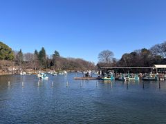 -井之头恩赐公园