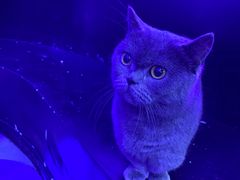 -极木²邸 人与宠物·互动社区