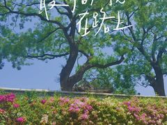 -红螺寺