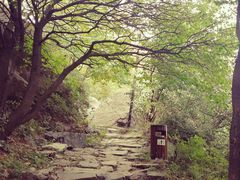 -阳台山自然风景区