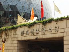 -陕西自然博物馆