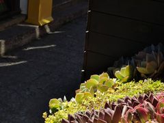 -桥边小楼·手工云南菜·古城观景小楼