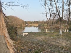 -南湖湿地公园