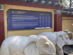 -海东龙宫寺