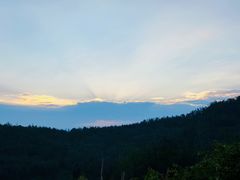 -长虫山生态公园风景林
