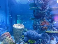 -上海海昌海洋公园