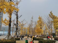 -两江幸福广场