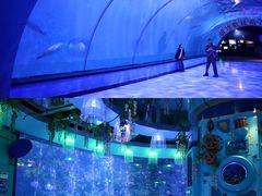 -海合安青岛极地海洋公园