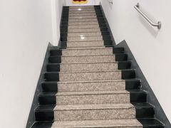 -美联众合动物医院(·中兽医·疑难杂症·严家桥分院)