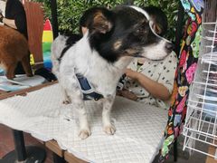 -COSTA COFFEE(上海虹口公园店)