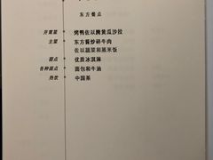-新加坡航空公司(ION)