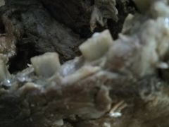 -济南孟家扒蹄店