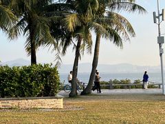 -深圳湾公园(南山区)