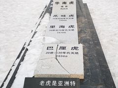 -横道河子东北虎林园