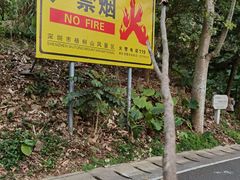 -梧桐山风景名胜区