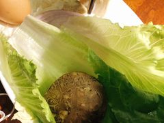 -玛格萝妮比萨屋(陆家浜路店)