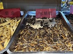 -昆虫窝子·特色云南菜(拓东路总店)
