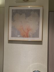 -娇莉芙美颜SPA连锁