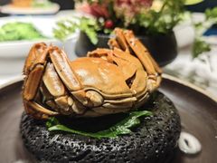 -食悦江南·淮扬菜·烤鸭(亚运村·惠新店)