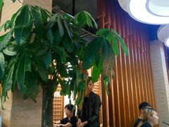 -印象江南(东栅店)
