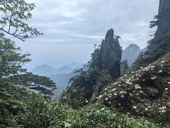 -三清山风景名胜区