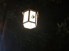 -青城道汤池
