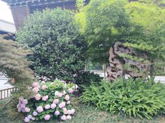 -月栖华明-云间草堂清茶馆(泗泾古镇店)