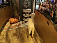 -CIAO·团建聚餐·生日派对轰趴馆(福田店)