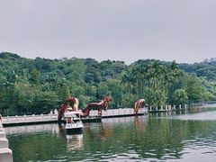 -西樵山风景名胜区-天湖公园