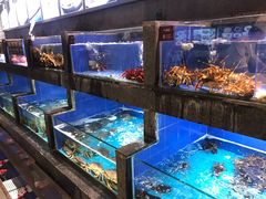 水产区-徐记海鲜(陕西历史博物馆|明德门店)