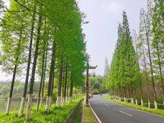 -宜兴龙背山森林公园